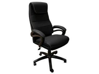 Рабочее кресло TEXAS pilt