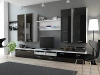 Секция DREAM III черный высокий глянец/матовый белый pilt 2