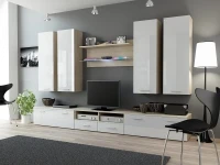 Sektsioon DREAM III valge kõrgläige/tamm sonoma pilt 2