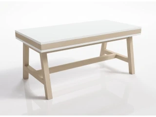 Журнальный стол LIDIA II pilt