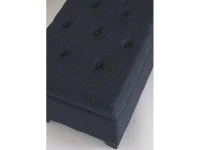 Tumba 20091 sinikashall pilt 3