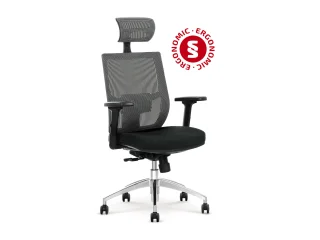 Рабочее кресло Ergonomic ADMIRAL pilt