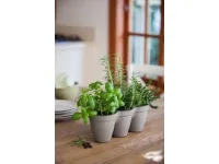 Istutuspott IVY HERBS pilt 2