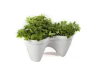 Istutuspott IVY PLANTER pilt 4