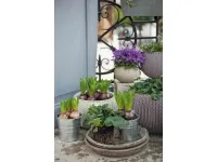 Istutuspott COZIES väike, violet pilt 5