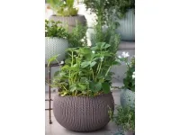 Istutuspott COZIES suur, violet pilt 2