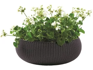 Lillepotiümbris COZIES tumelilla pilt