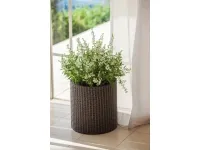 Lillepotiümbris CYLINDER PLANTER SMALL, pruun pilt 2