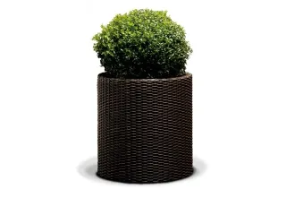 Lillepotiümbris CYLINDER PLANTER LARGE, pruun pilt