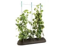 Istutuspott G-ROW pilt 2