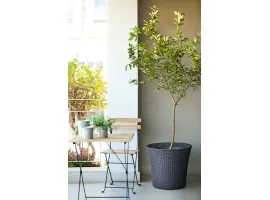 Lillepotiümbris CONIC PLANTER 56L, anthracite