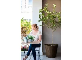 Lillepotiümbris CONIC PLANTER 56L, pruun