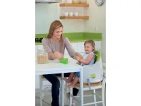 Стульчик для кормления MULTI DINE pilt 5