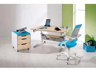 Kirjutuslaud JARO kasepuit pilt