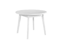 Стол обеденный OSLO III pilt 2