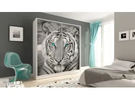 Liugustega kapp FOTO