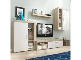 Sektsioon OLI