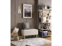 Tumba CLEO kastiga beež pilt 2