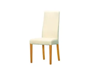 Стул SALVO 101 pilt