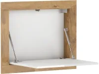 Klapplaud RAM pilt 9