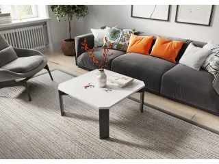 Журнальный стол LARIANO pilt