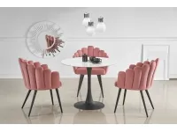 Laud AMBROSIO pilt 2