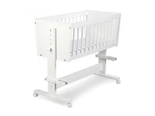 Beebivoodi ZOYA pilt