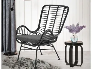 Tugitool IKARO 2 pilt