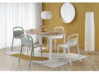 Pikendatav laud RINGO tamm artisan / valge pilt 2