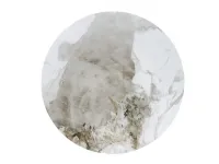 Diivanilaud GENESIS S pilt 4