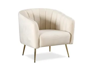 Tugitool AC 2405 - Kreemjas pilt