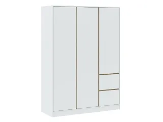Шкаф для одежды BASIT 3D2S - Белый (+артисан) pilt