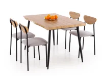 Комплект DICKY стол + 4 стула pilt 2