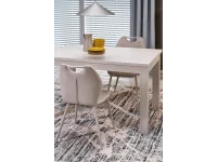Стул K569 CS кашемир / светло-бежевый pilt 6