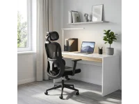 Рабочее кресло Ergonomic MATEUS black pilt 13